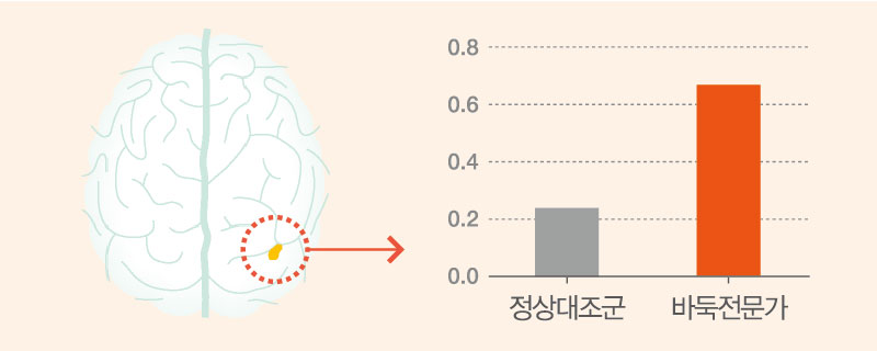 바둑의 효과1